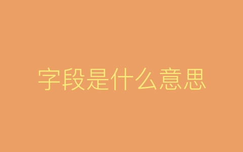 字段是什么意思
